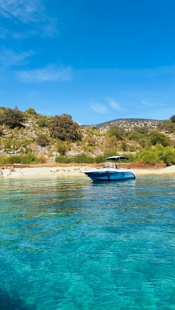 Un bateau bleu est amarré sur une eau cristalline, devant une plage entourée de collines verdoyantes sous un ciel clair.