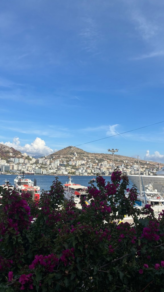 Vue d'une marina avec des bateaux, des fleurs roses au premier plan et des collines et bâtiments en arrière-plan sous un ciel bleu.