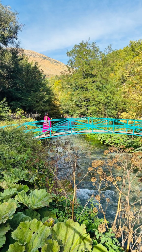 Un pont bleu au-dessus d'un ruisseau, avec une femme en robe rose se tenant dessus, entouré de verdure et de montagnes en arrière-plan.