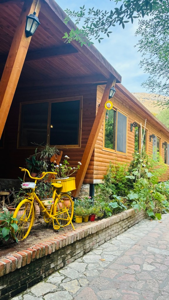 Une maison en bois avec un porche, ornée de lanternes, et un vélo jaune décoré de fleurs, entouré de plantes et de pots colorés le long d'un chemin en pierre.