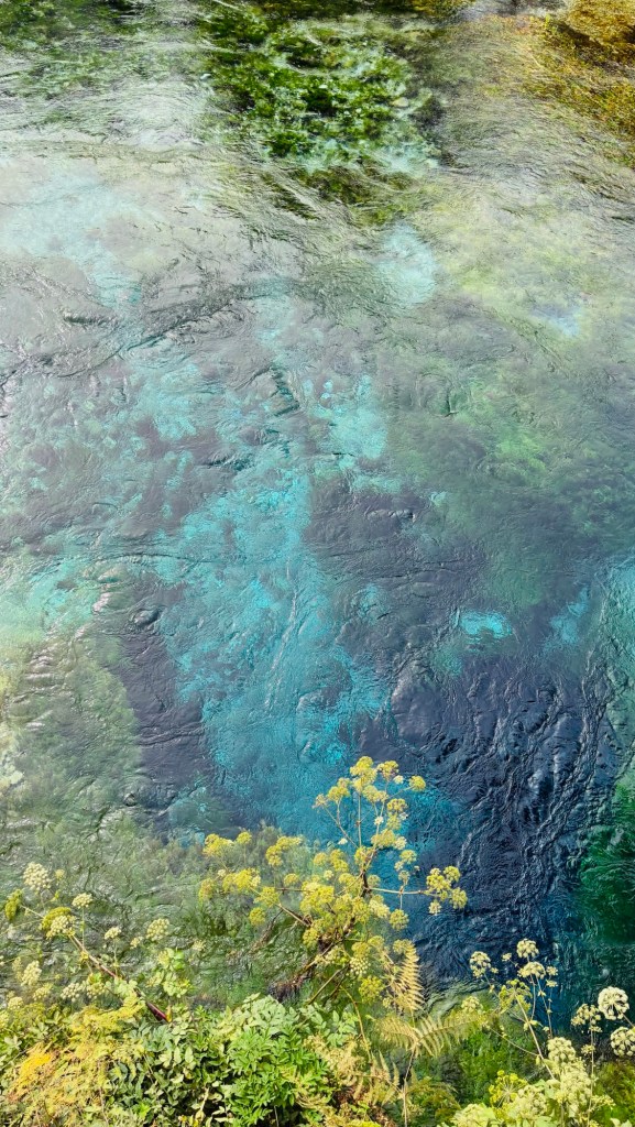Vue aérienne d'une eau claire avec des teintes turquoise, entourée de végétation luxuriante.
